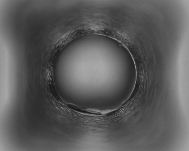 X0000087351397200704271411