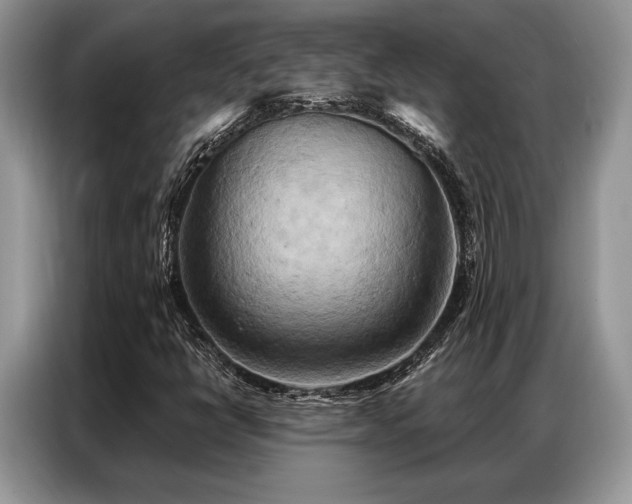 X0000087351398200704271411