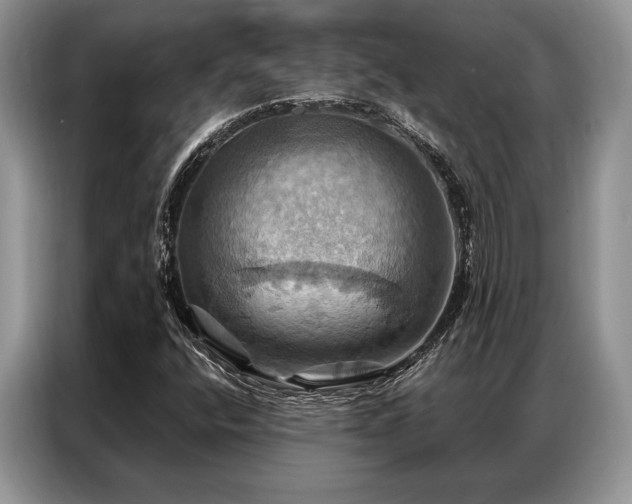 X0000087351400200704271411