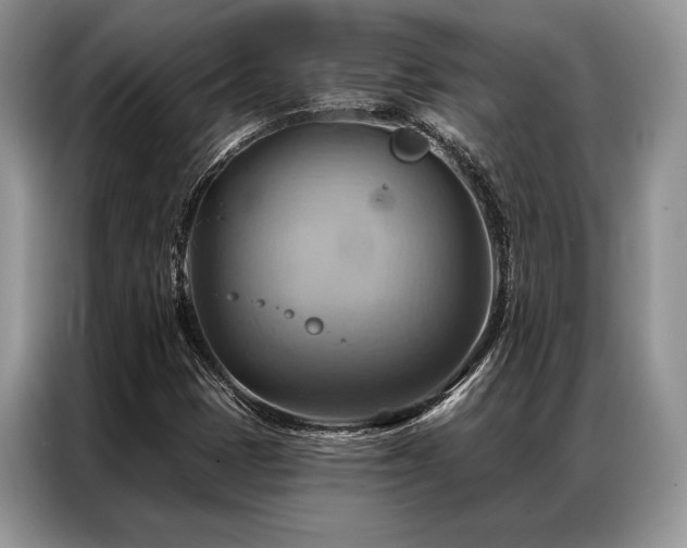 X0000087351401200704271411