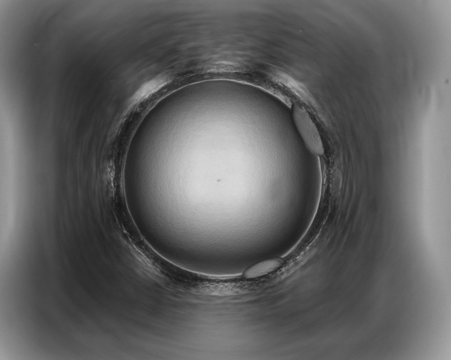 X0000087351402200704271411