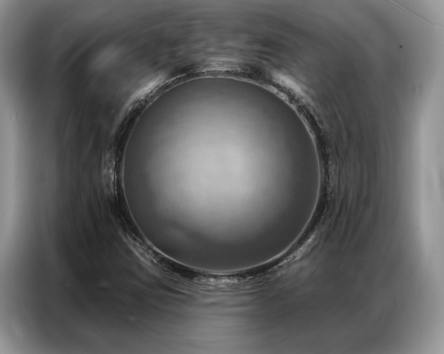 X0000087351403200704271411