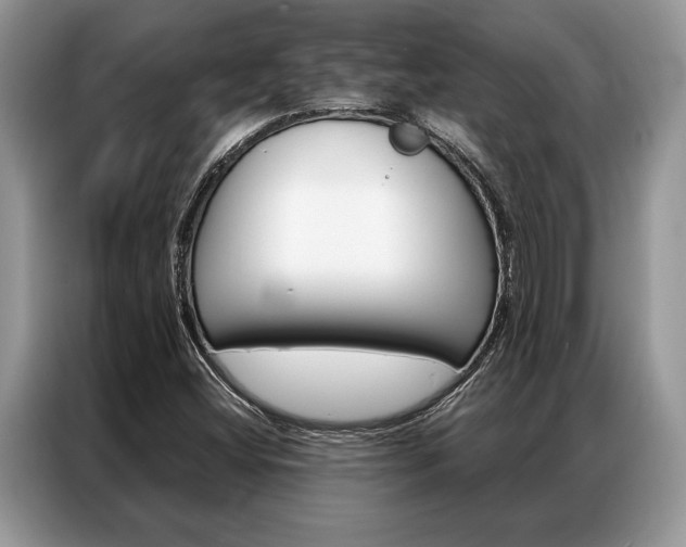 X0000087351404200704271411