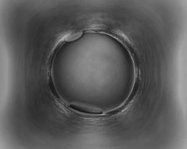 X0000087351405200704271411