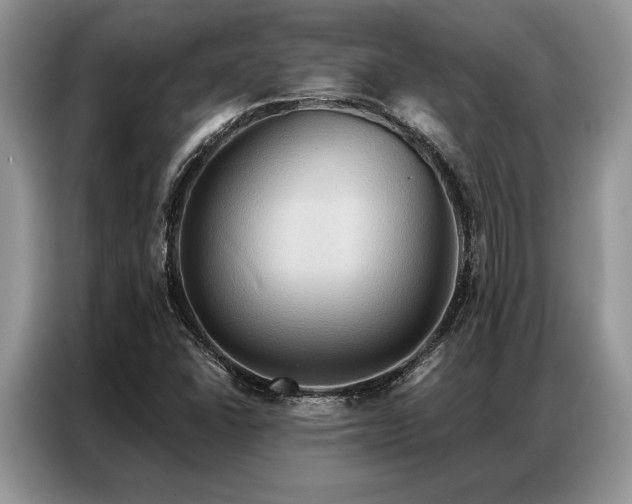 X0000087351406200704271411