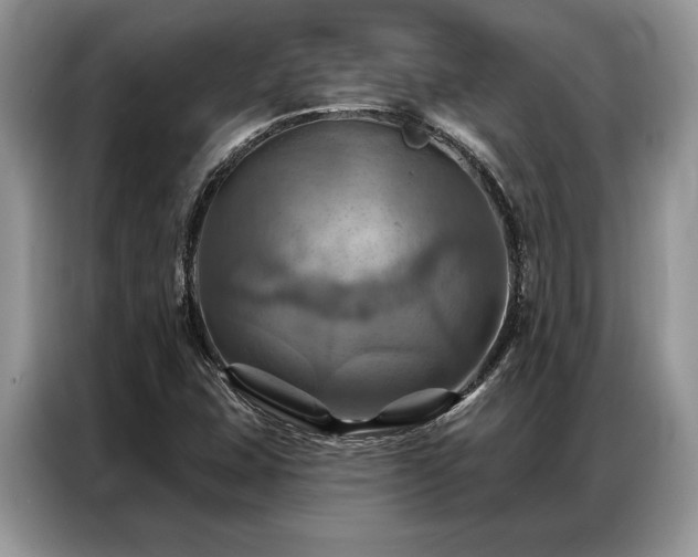 X0000087351407200704271411