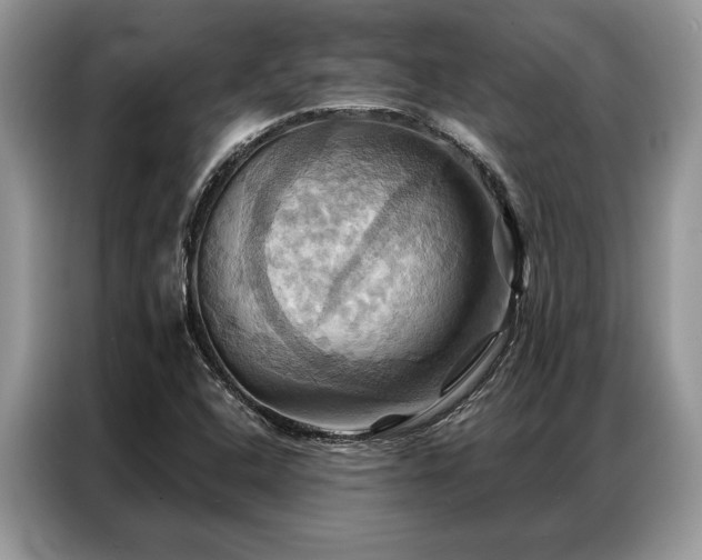 X0000087351408200704271411