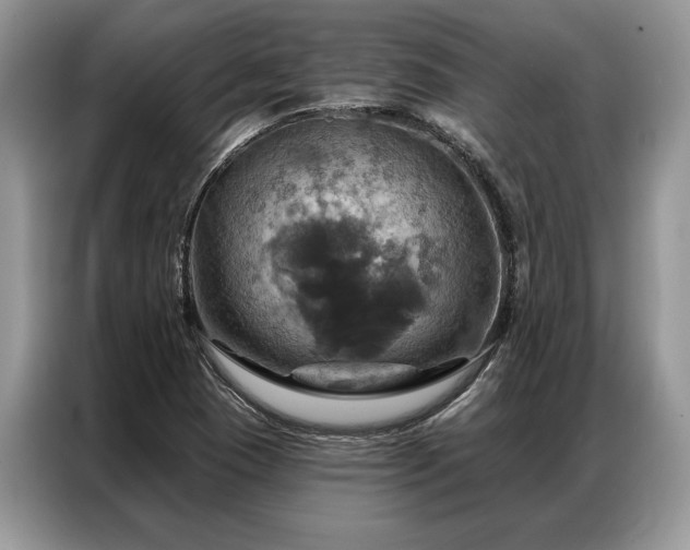 X0000087351409200704271411