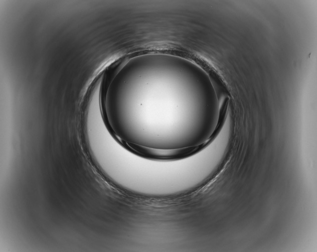 X0000087351410200704271411