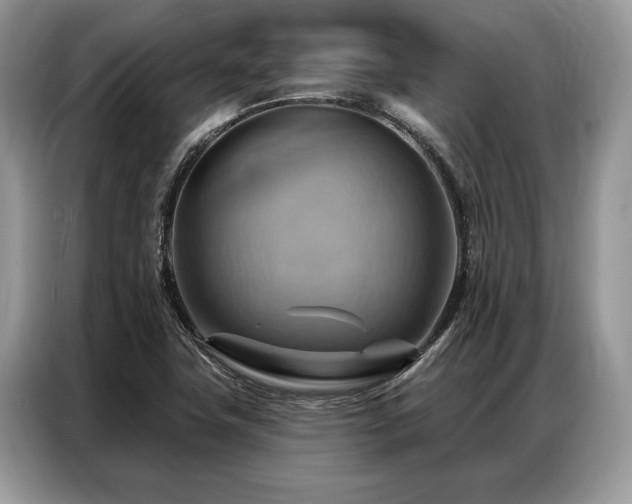 X0000087351411200704271411