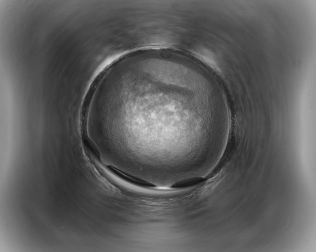X0000087351412200704271411