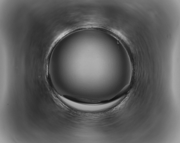 X0000087351413200704271411