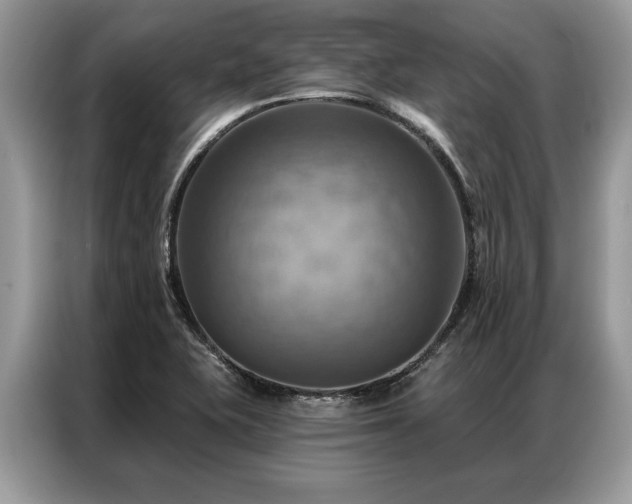 X0000087351415200704271411