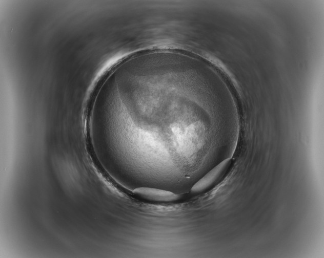 X0000087351416200704271411