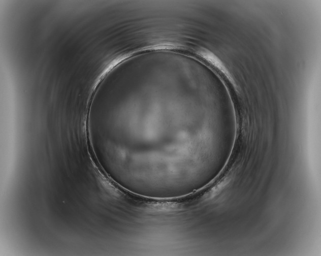 X0000087351417200704271411