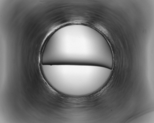 X0000087351420200704271411