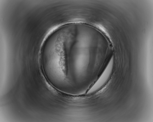 X0000087351421200704271411