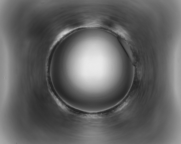 X0000087351422200704271411