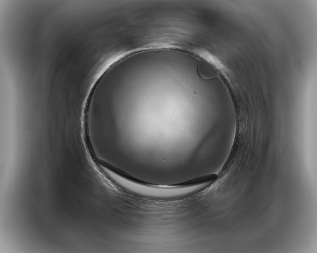 X0000087351423200704271411