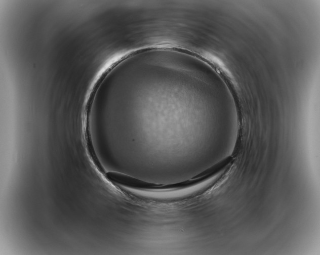 X0000087351424200704271411