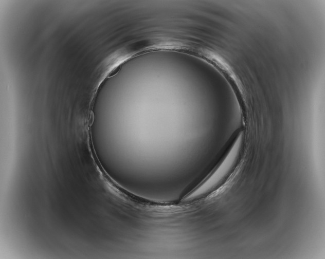 X0000087351425200704271411