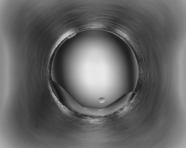 X0000087351426200704271411