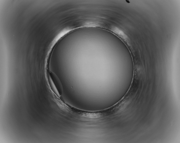 X0000087351427200704271411