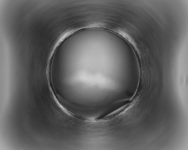 X0000087351429200704271411