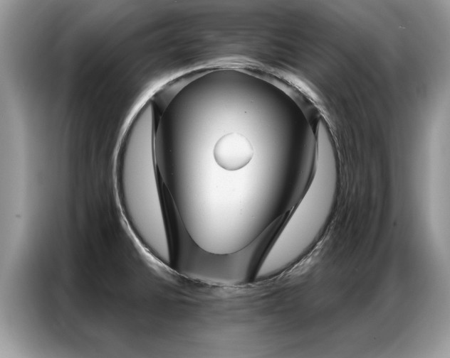 X0000087351430200704271411