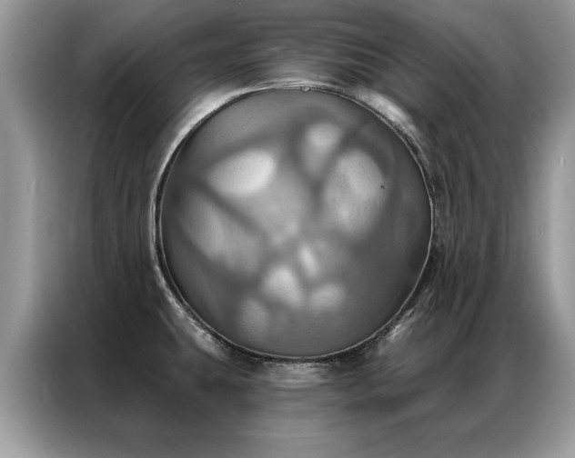 X0000087351431200704271411