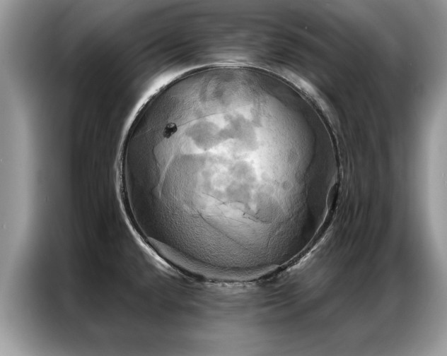 X0000087351432200704271411