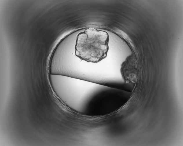 X0000087351435200704271411