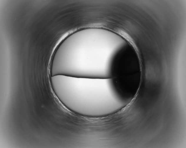 X0000087351436200704271411