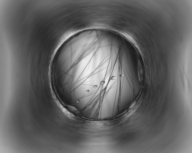 X0000087351438200704271411