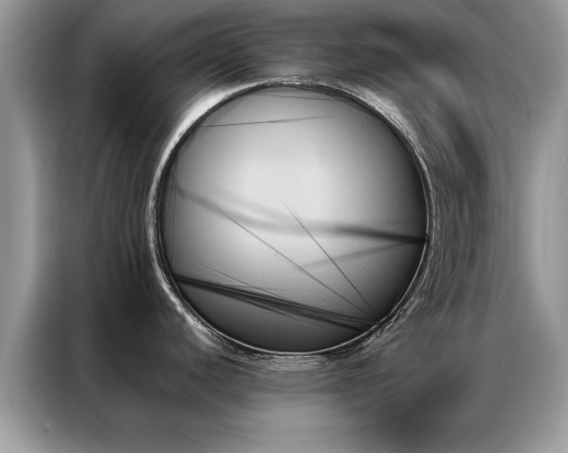 X0000087351440200704271411
