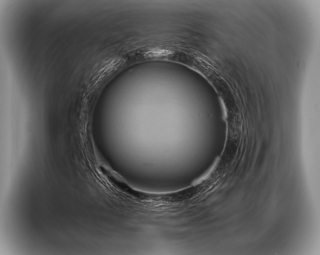 X0000087351441200704271411