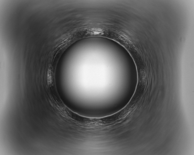 X0000087351442200704271411