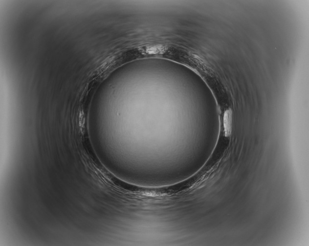 X0000087351443200704271411
