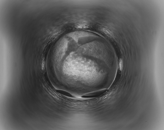 X0000087351444200704271411