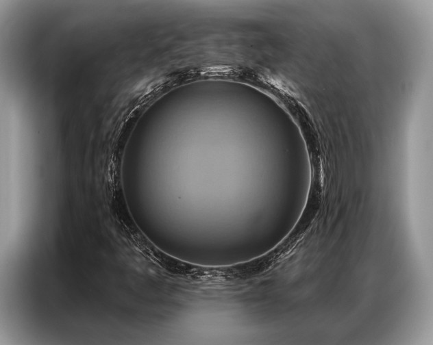 X0000087351445200704271411