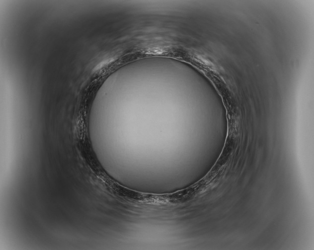 X0000087351446200704271411