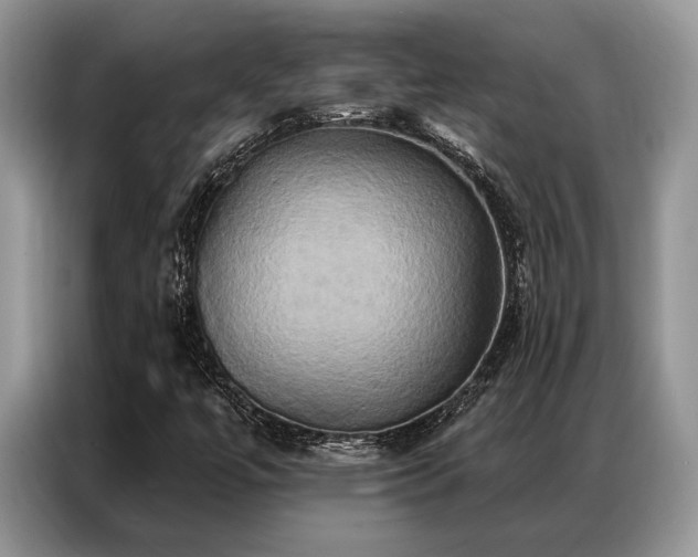 X0000087351447200704271411