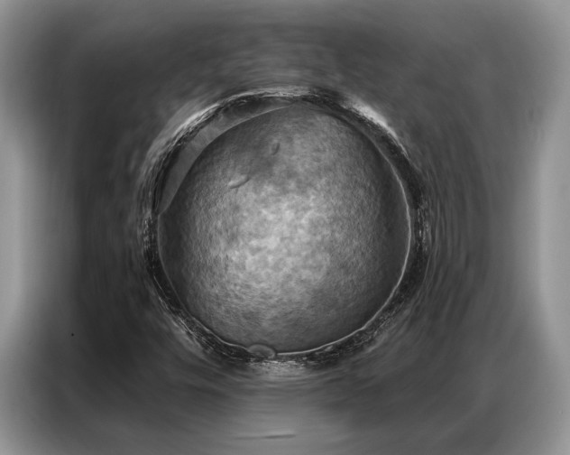 X0000087351448200704271411