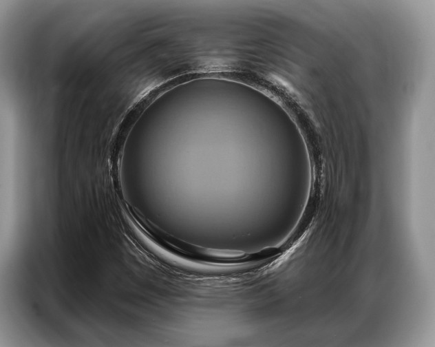 X0000087351449200704271411