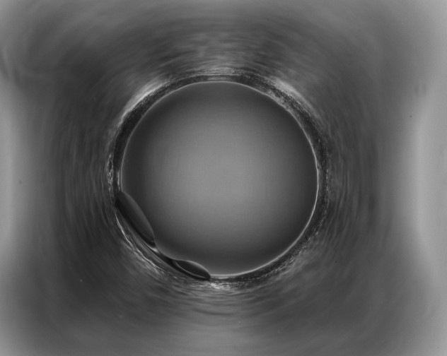 X0000087351450200704271411
