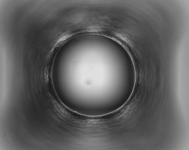 X0000087351451200704271411