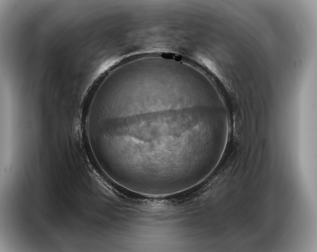 X0000087351452200704271411