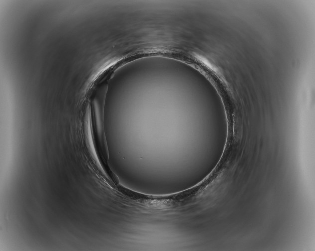 X0000087351453200704271411
