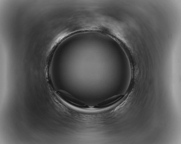 X0000087351455200704271411