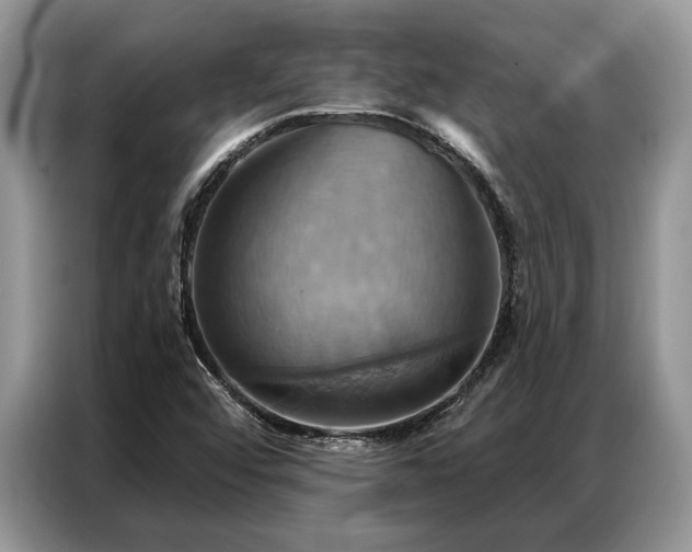X0000087351456200704271411